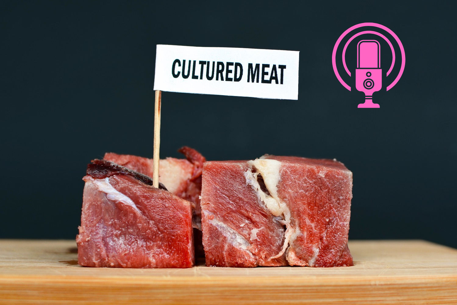 Chi ha paura della carne sintetica? Intervista a Massimo Cerofolini