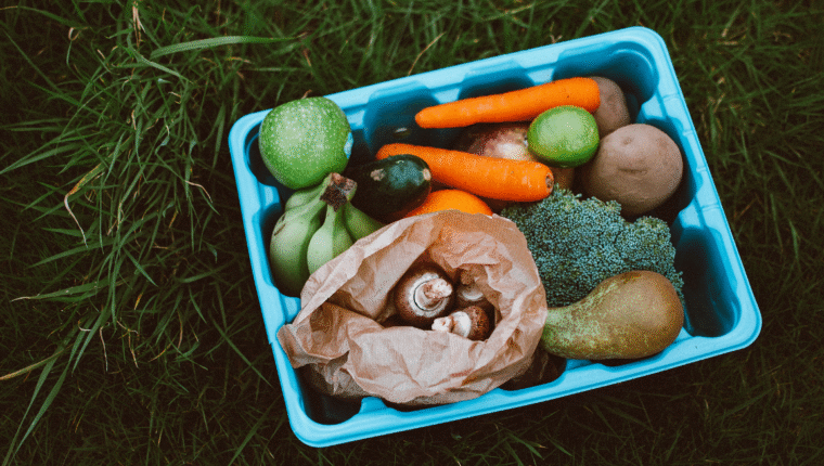 Etica e prezzo nel cibo: quanto siamo disposti a pagare per prodotti cruelty free o sostenibili? - immagine di copertina