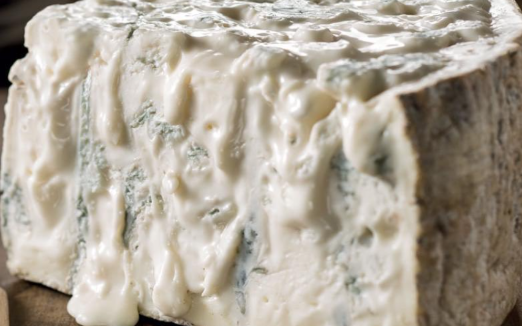 gorgonzola 
