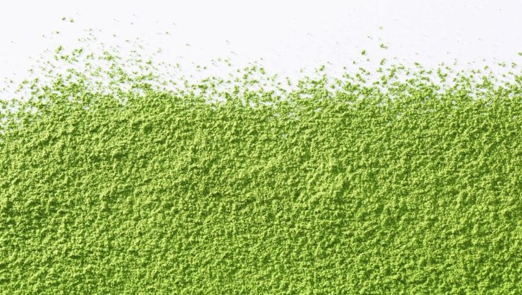 Matcha: tutto quello che c&rsquo;&egrave; da sapere - immagine di copertina